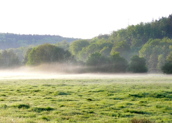 Keppelwiese - (c) E Rockstroh.jpg